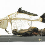 Siri Derkert, Självporträtt, 1959