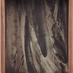 Martín Soto Climent, Detail (Heliogravure print 6) , 2021