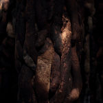 Nicola Turner, Morceaux Noir, 2025