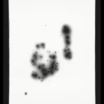 Philipp Goldbach, Stack (Kodak) , 2023