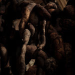 Nicola Turner, Morceaux Noir, 2025