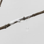 Isadora Soares Belletti, Experimentos para uma estação de cura (autorretrato) [Experiments for a healing station (self-portrait)], 2023/2025