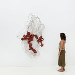 Frans Krajcberg, Relevo vermelho, sem data [undated]