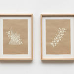 Aislan Pankararu, Pé na terra, 2022