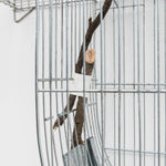 Isadora Soares Belletti, Experimentos para uma estação de cura (autorretrato) [Experiments for a healing station (self-portrait)], 2023/2025