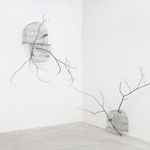 Isadora Soares Belletti, Experimentos para uma estação de cura (autorretrato) [Experiments for a healing station (self-portrait)], 2023/2025