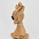 Ryan Wilde, La femme Sauvage, 2022