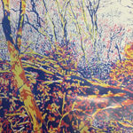 Angus Fairhurst, Standing stock still on the blink, 1998