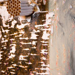 Yuli Yamagata, Oferenda, 2021