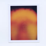 Anne Collier, Photograph (Woman With A Camera) #1, 2016