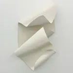 Clementine Maconachie, CM743, 2023