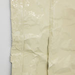 Tina Shaw, On and On, 2025