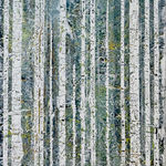 Kinga Czerska, VIRIDIAN GROVE