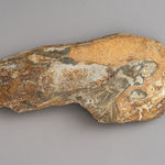 Ioana Gorzo, Sunrise, 2024