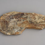 Ioana Gorzo, Sunrise, 2024