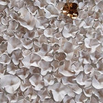 ANS PULLENS, POWER OF WHITE