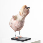 MARIANNE TURCK, LOOKING FOR CONNECTION