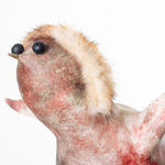 MARIANNE TURCK, LOOKING FOR CONNECTION