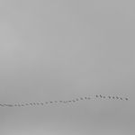 Tobias Kruse, #068, 2019