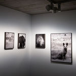 Tobias Kruse, #059, 2019