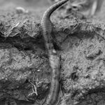 Tobias Kruse, #059, 2019