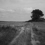 Tobias Kruse, #059, 2019