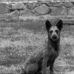 Tobias Kruse, #059, 2019