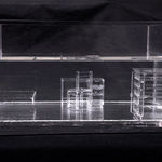 Shimul Saha, Who Cares, 2010