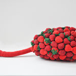 Shimul Saha, Who Cares, 2010