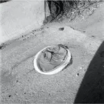 Donnie Williams, Detail of Mañanaland, 2018