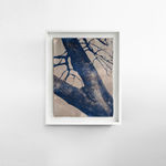 Alexander Sebastianus, Umbuh #1, 2021