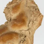 Abstract figurative ceramic sculpture b