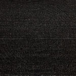 王俊 Wang Jun, 2025