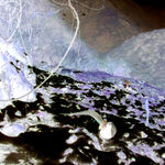 陈萧伊 Chen Xiaoyi, 古老的愿景 The Visions of Karma, 2024