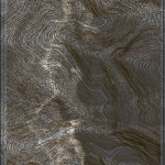 陈萧伊 Chen Xiaoyi, 古老的愿景 The Visions of Karma, 2024