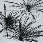 王俊 Wang Jun, 2025