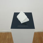 冯冰伊 Feng Bingyi, 空中剧院 - 魔幻玫瑰 Theater in the Sky - Roses Magiques, 2020