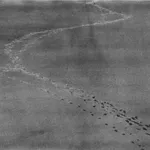 陈萧伊 Chen Xiaoyi, 脱臼时空系列 Dislocated Spacetime series, 2025