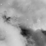 陈萧伊 Chen Xiaoyi, 古老的愿景 The Visions of Karma, 2024