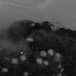 陈萧伊 Chen Xiaoyi, 古老的愿景 The Visions of Karma, 2024