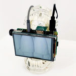 Ahaad Alamoudi, Self-Portrait as a Pomegranate, 2017