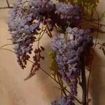 George Cochran Lambdin, Still Life Roses, 1878