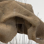 Sara Alahbabi, Wind’s Eye: Characters Archive عين الريح: أرشيف الوجوه, 2025