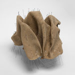 Sara Alahbabi, Wind’s Eye: Characters Archive عين الريح: أرشيف الوجوه, 2025