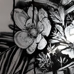 Hiroyasu Tsuri, Oleandero of Molise, 2025