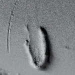 Baxter, Substance #01, 2024