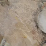 Maya Irving, Grizzly Grizzle, 2024