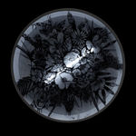 Hiroyasu Tsuri, Oleandero of Molise, 2025