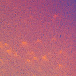 Daniel O'Toole, Quadraphonic, 2025