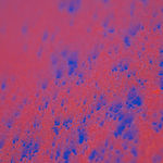 Daniel O'Toole, Off World, 2025